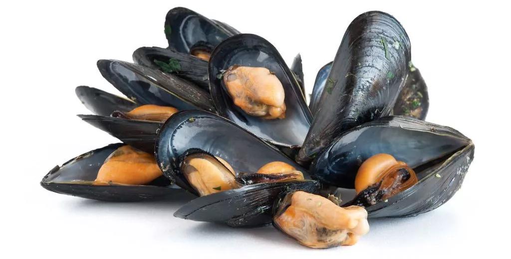 海岛两天一夜自驾游攻略,上海海边岛屿一日游枸杞岛