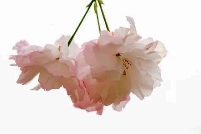 让你醍醐灌顶的一句话，句句实诚，总有一句是你最喜欢的！