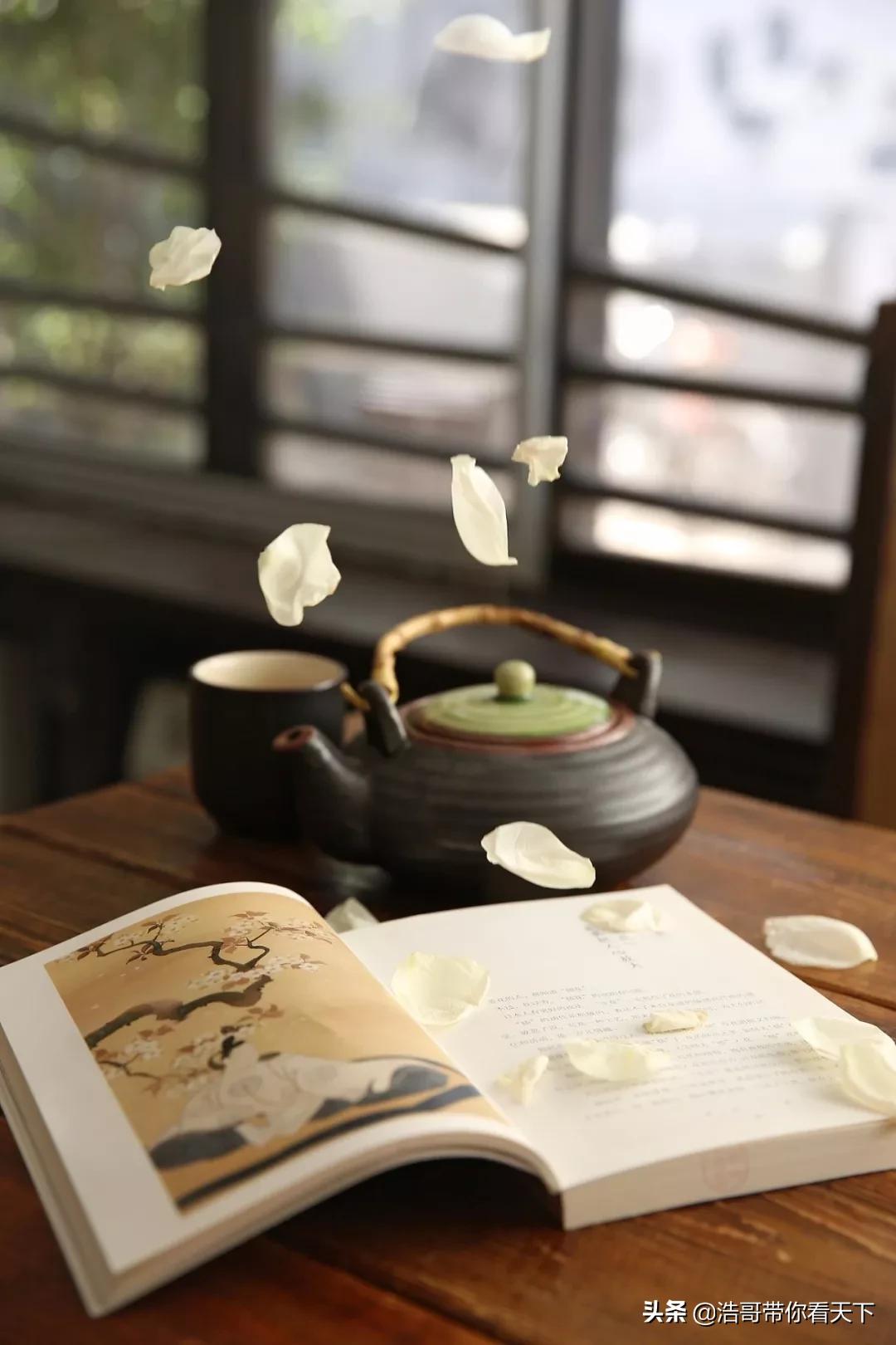 中文到底有多美读着都醉了,中文到底有多美