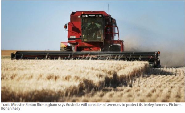 为了中国,澳洲跟美国“翻脸”了!多种农产品出口受阻,这回知道疼了?