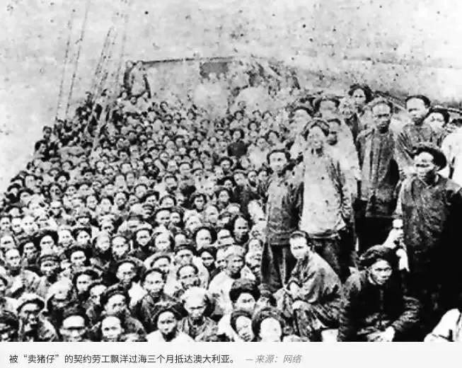 来澳洲才知道的事,来悉尼才知道的事