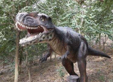 广东广州秋天正确的打开方式,广州花都夏天的好去处