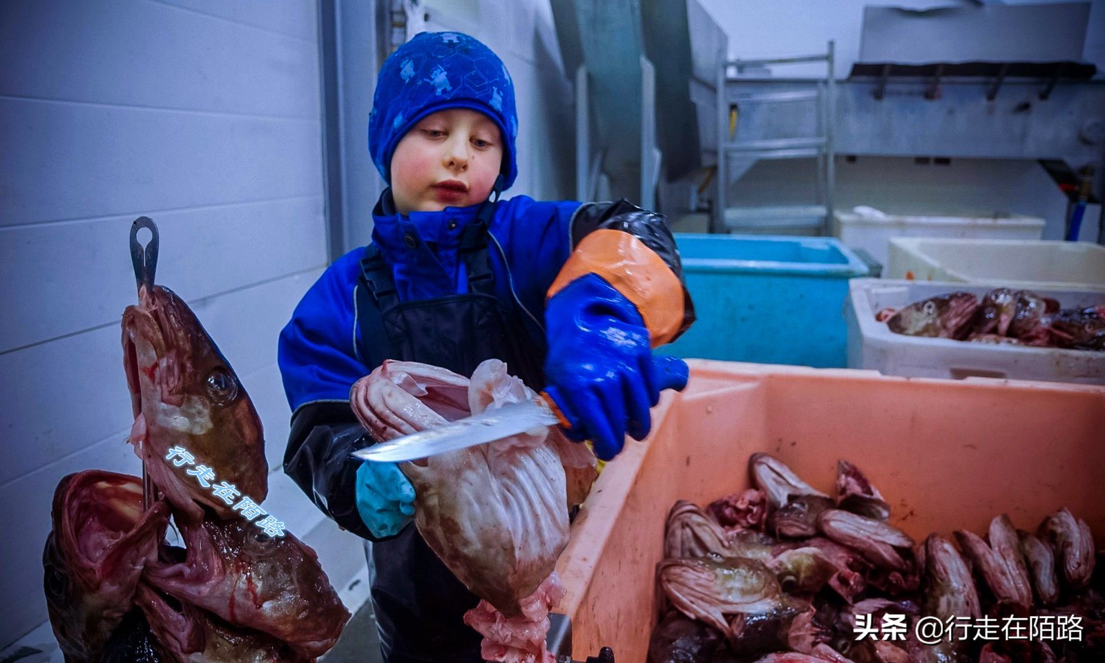 砸锅卖铁上一句,砸锅卖铁也要供你上学的励志语录