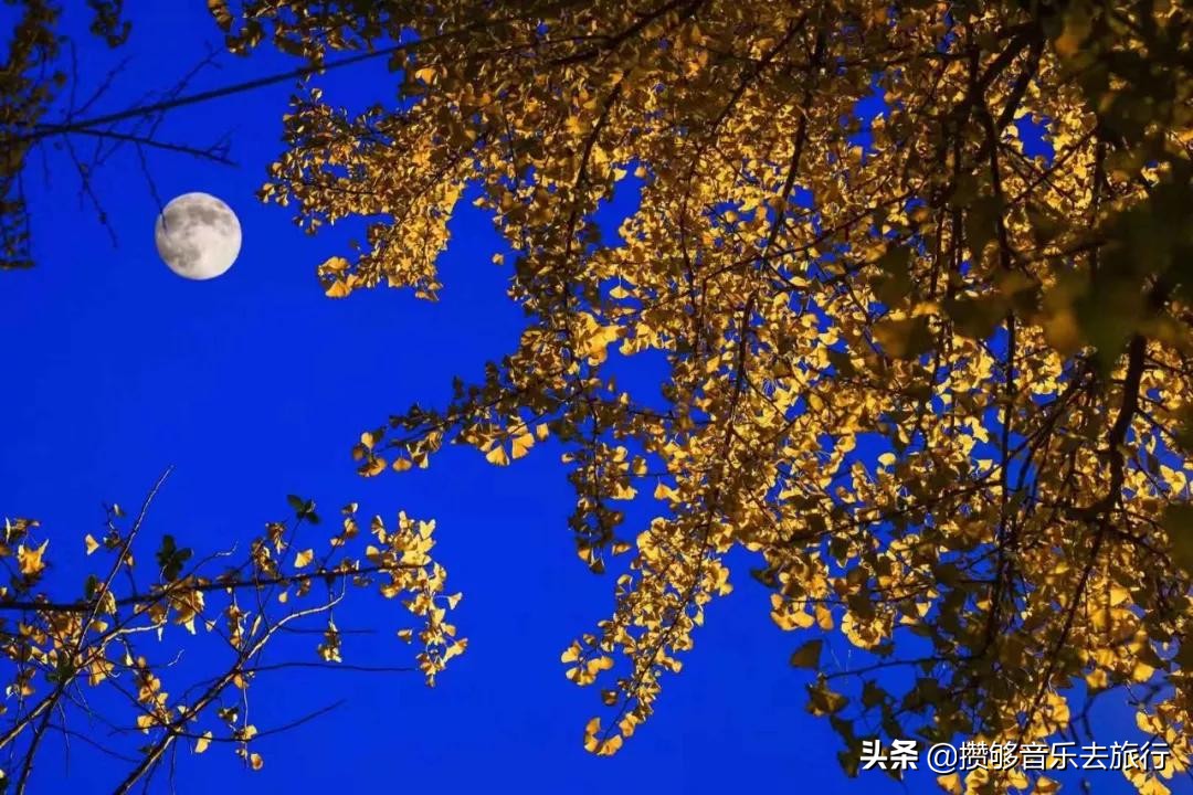 彭山文旅康养乐活城,彭山天府乐活城