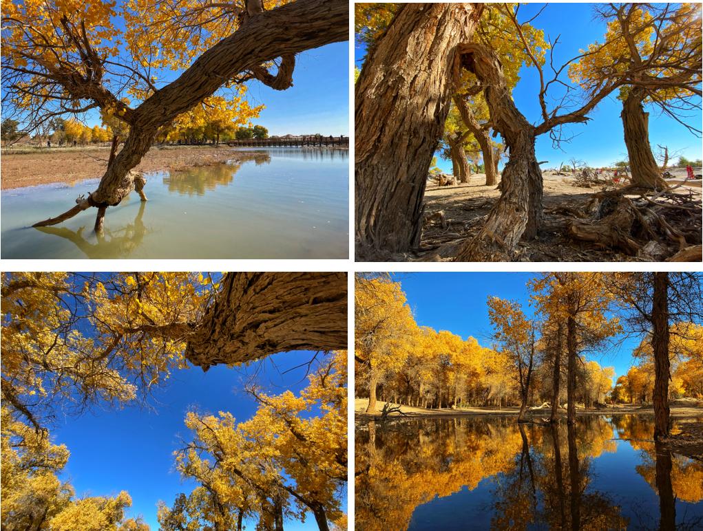 飞行2万公里，足迹10个城市——2020我的手机摄影之旅