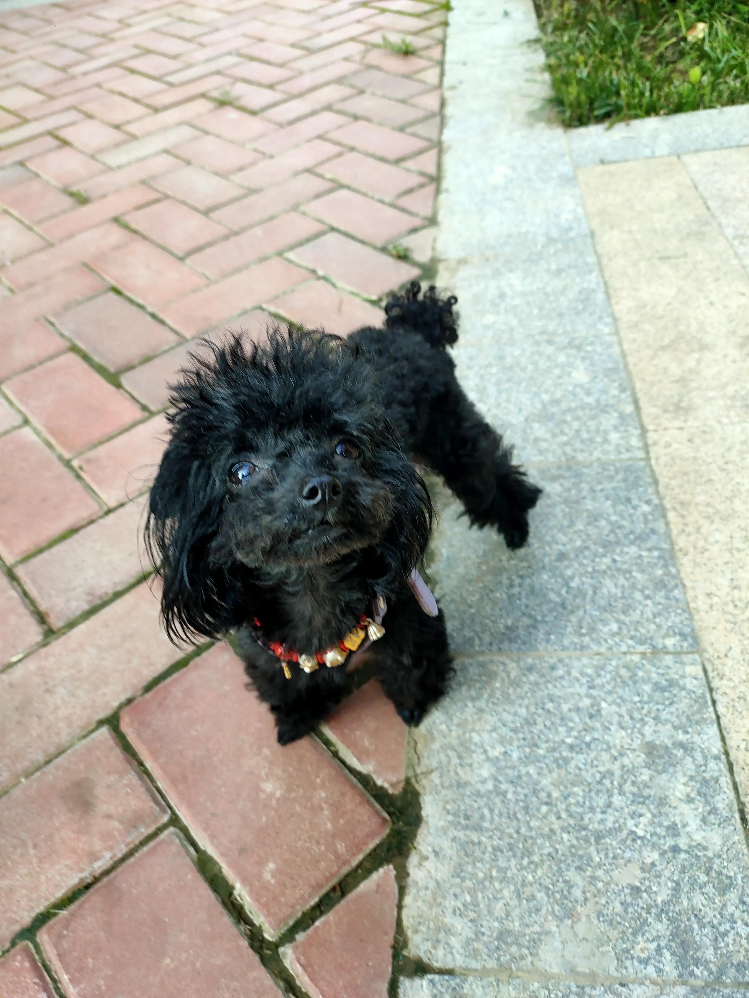 miss米修旗舰店,米修miss