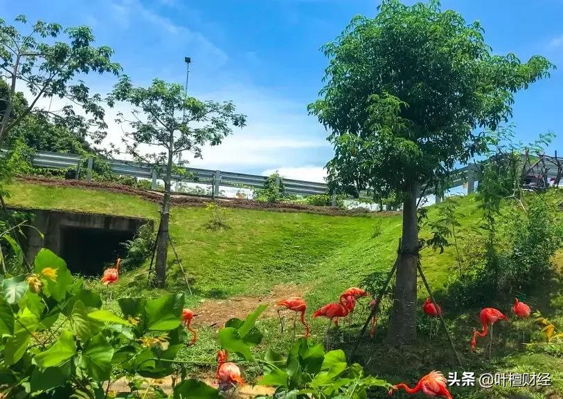 未来三大投资领域,中国未来的投资方向10大领域