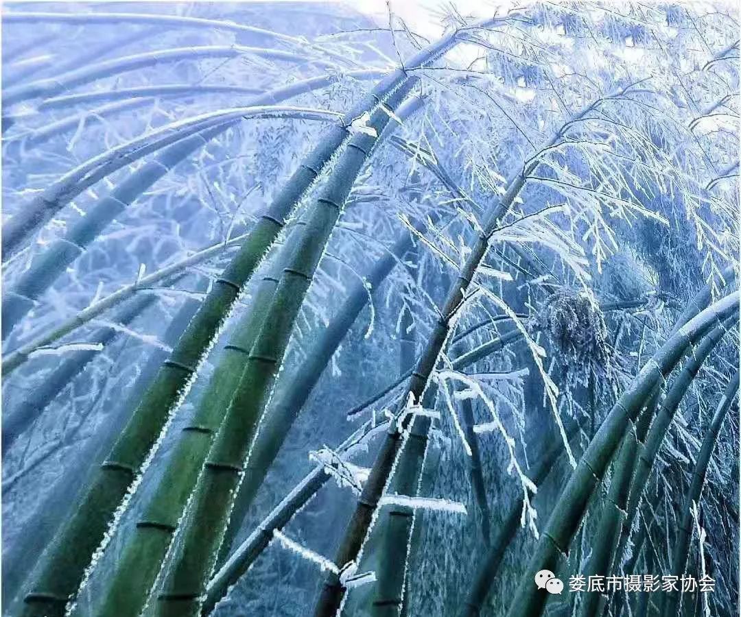 最新风景摄影小品欣赏,娄底景观小品