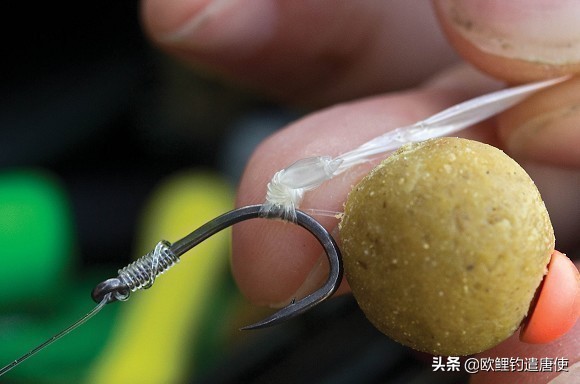 外国人钓鱼打窝技巧,老外用超大饵钓鱼
