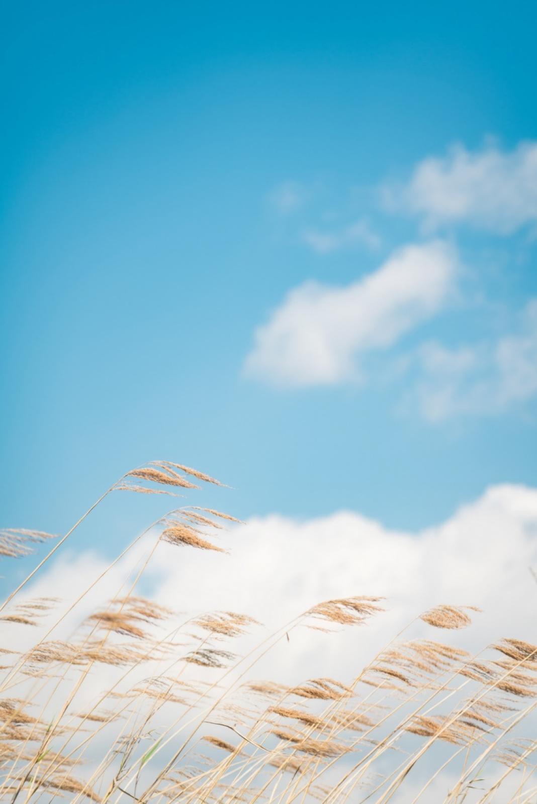 云南昆明最新攻略,昆明旅游不踩坑攻略