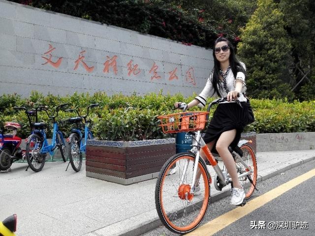 高空拍摄深圳蛇口宋少帝陵,深圳宋少帝陵完整视频