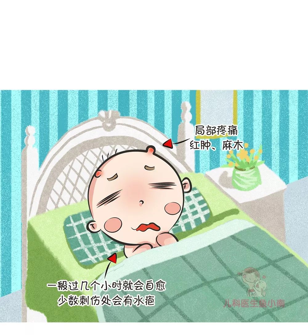 中蜂被蛰了有什么危害,秋蜂咬人会不会死亡