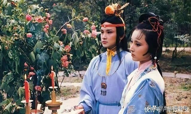 红楼梦中芙蓉女儿诔,芙蓉女儿诔是红楼梦哪一回