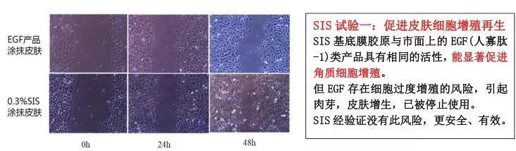 平价款前男友面膜,和前男友面膜差不多的面膜