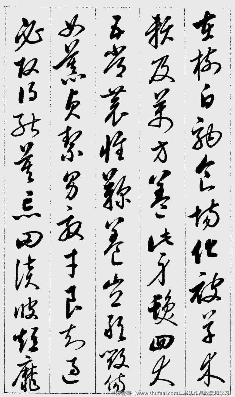 草书千字文注释启功,启功临谁的草书千字文