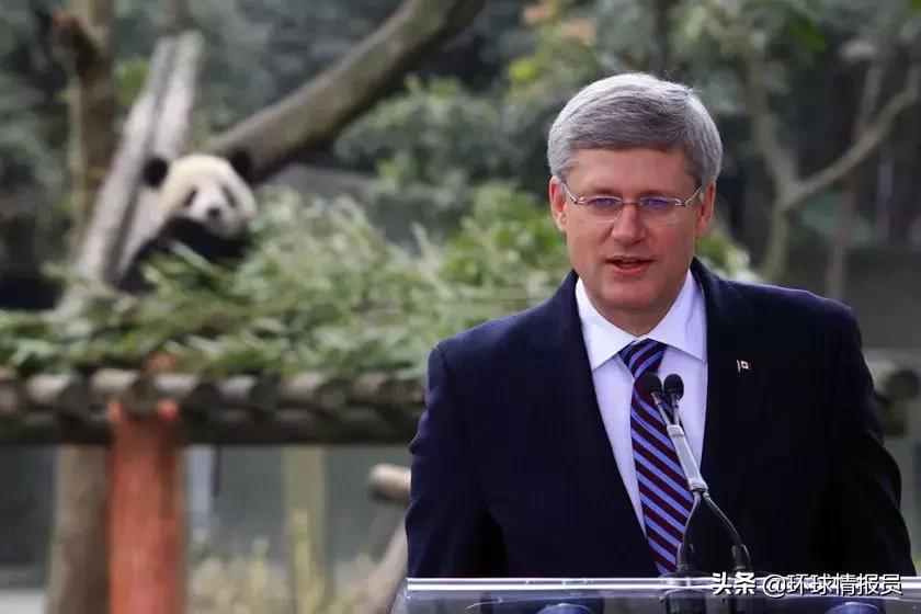 加拿大魁北克地区官方语言,魁北克说英语还是法语