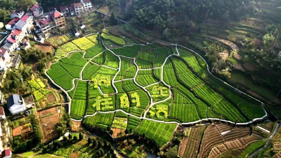 钱塘江出现巨幅画作,钱塘江大潮图片绘画