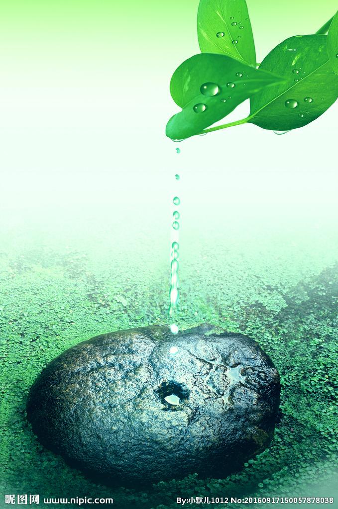 宁静夏天评论,宁静的夏天网友评价