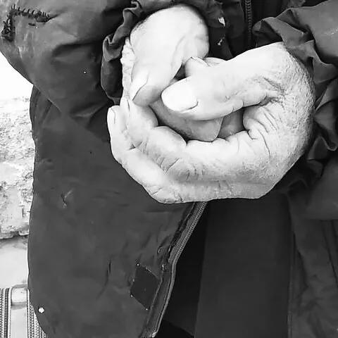 父亲的自行车全集,父亲的自行车