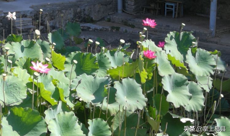 保定市骑行去狼牙山走哪条路线好,保定自驾易县狼牙山看云海