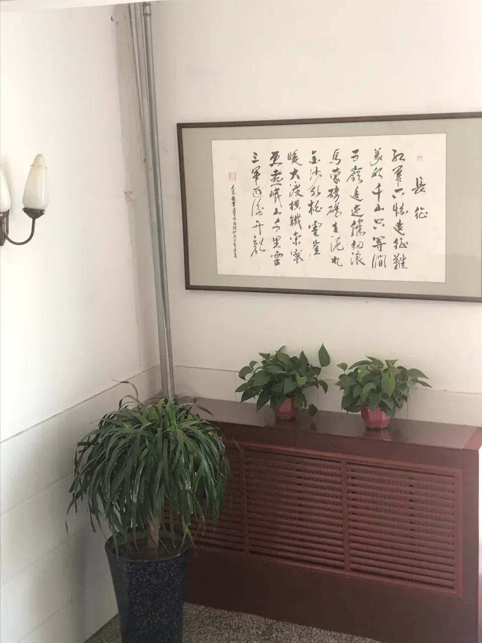 2020鏁欒偛鍏氬缓宸ヤ綔鐨勫唴瀹瑰拰浜偣,鑲叉墠瀛︽牎鍏氬缓