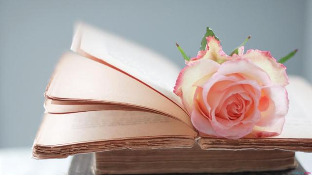 小肚鸡肠的人是哪种心理,小肚鸡肠的人是什么性格