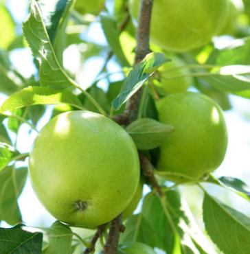 心理测试测老天是否眷顾你,测你最炫酷的心理测试