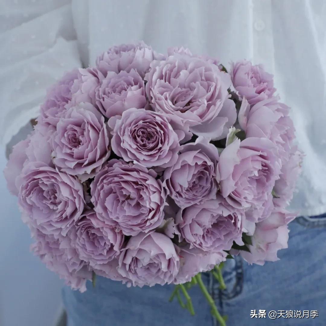 不容易，天狼自育终于打折了！空蒙只要50不到！