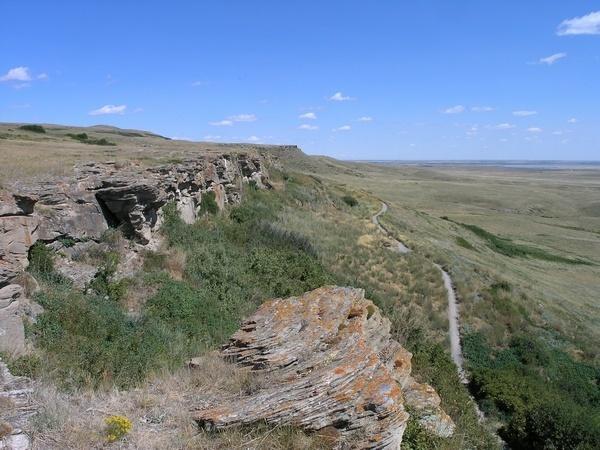 180年前的美洲野牛,美洲野牛和印第安人共同的命运