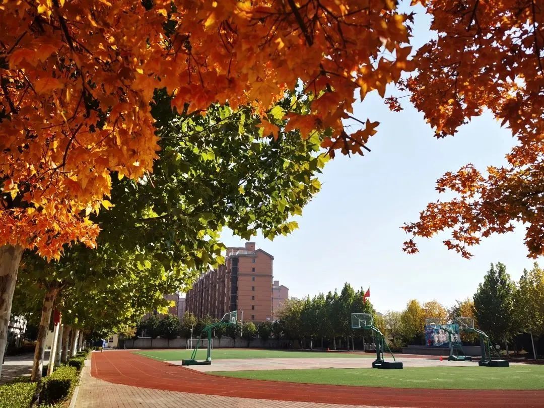 北京所有小学排名一览表,北京30所小学排名一览表