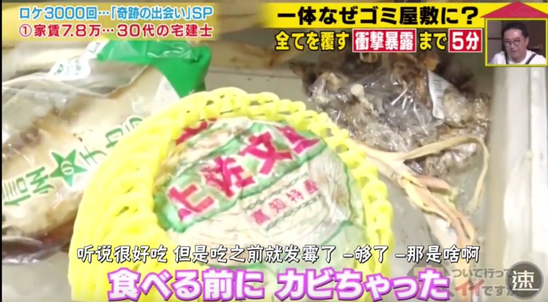 这几年有什么好看的综艺节目 (这才是国产综艺该有的样子)