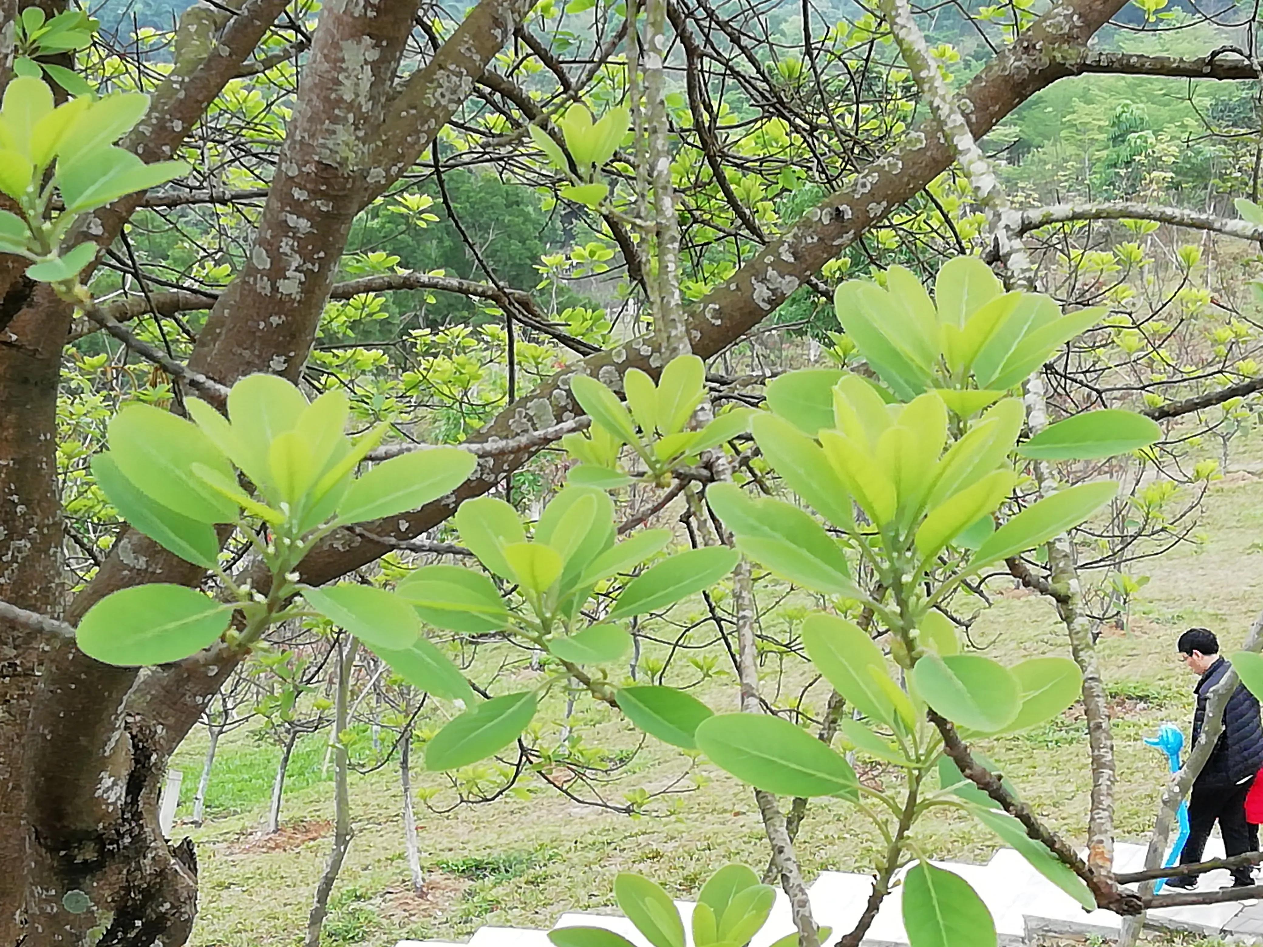 舞蹈怒放的生命,怒放的生命活出精彩