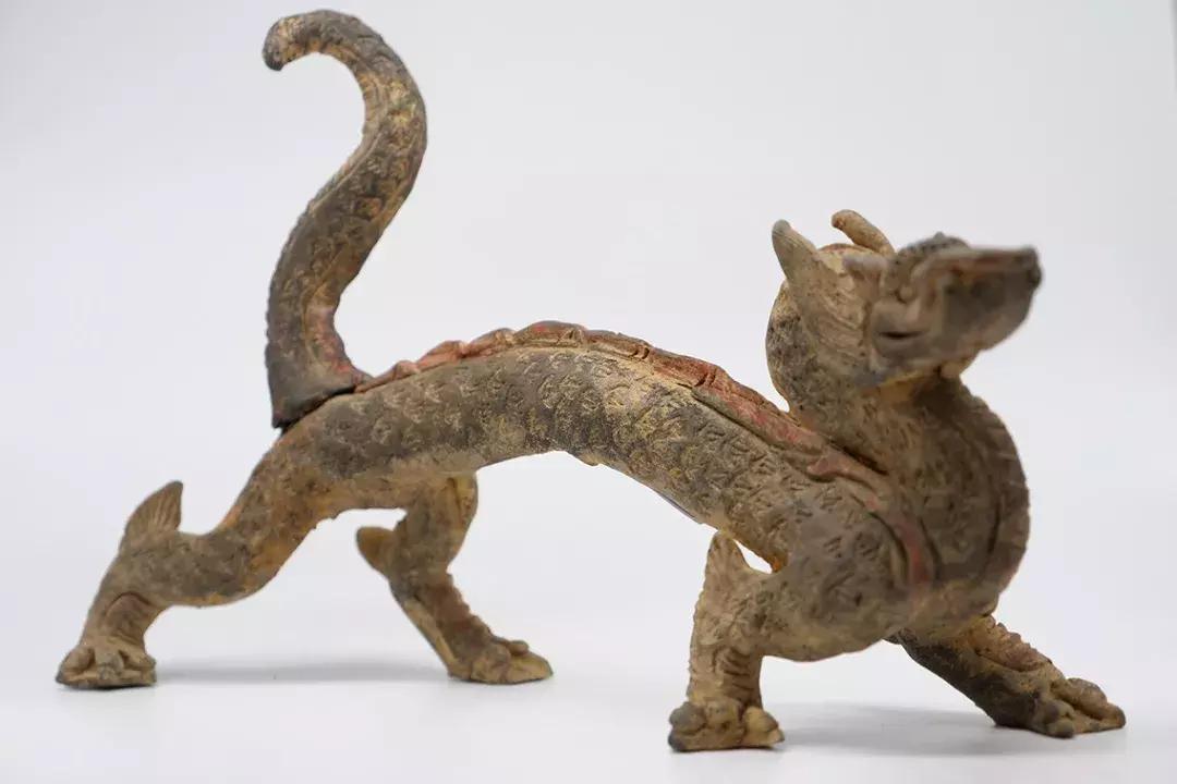 世界十大神奇动物,十大神奇动物园