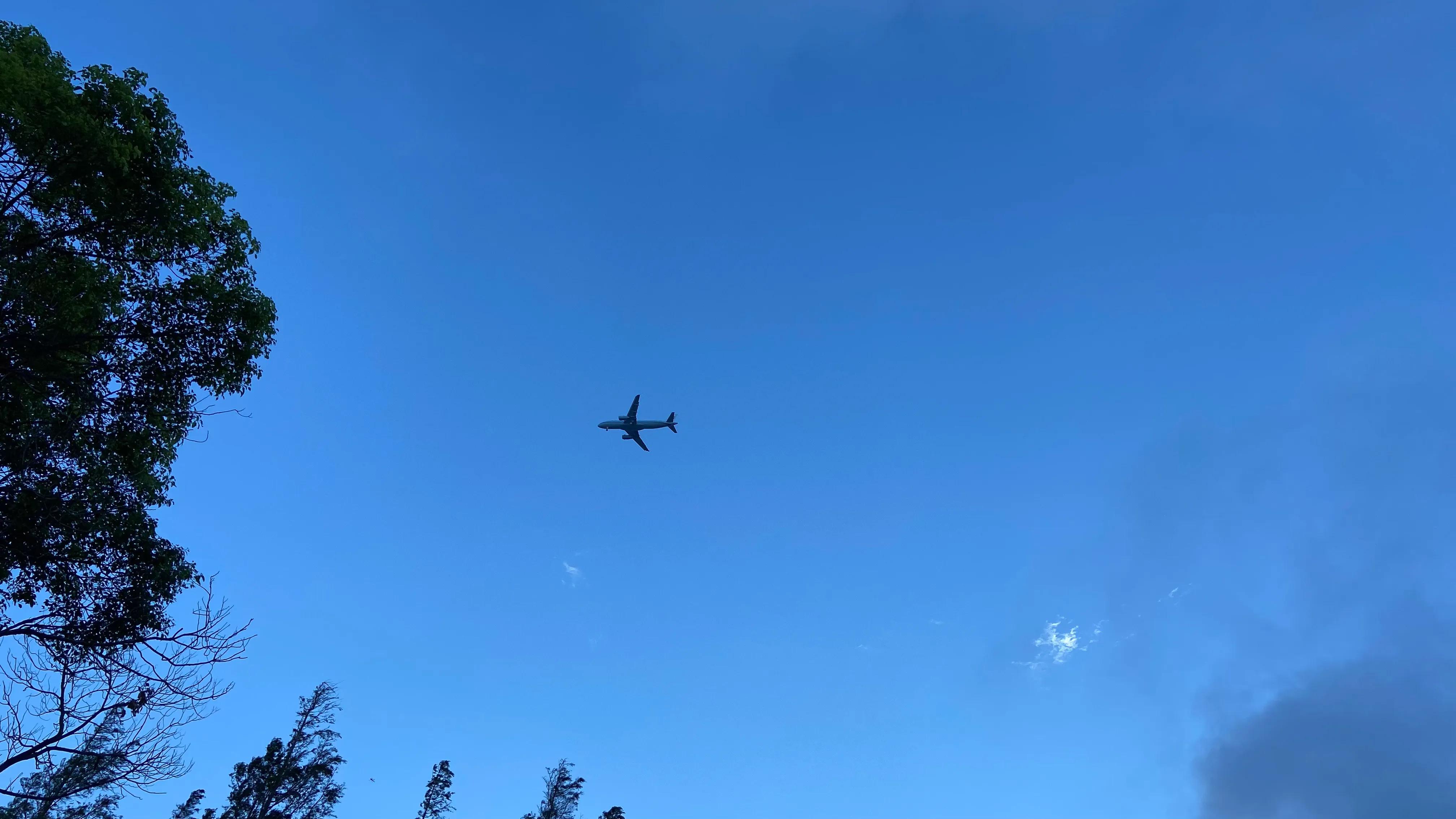 上海哪个地方能看到真正的大海,上海最近景色最好的大海