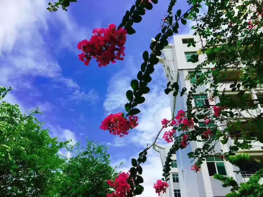 肇庆不限户籍的学校,肇庆不限户籍的中学