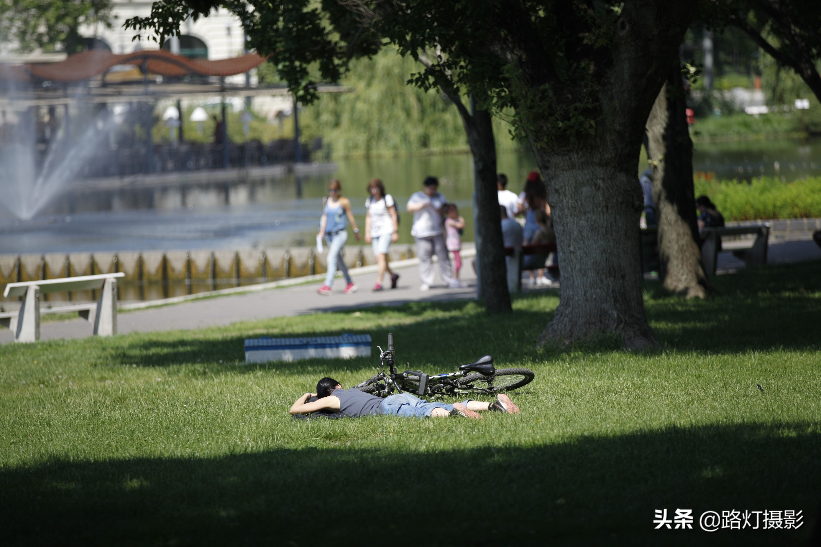 国外有没有禁止踩踏草坪,为什么国外草坪可以随便踩