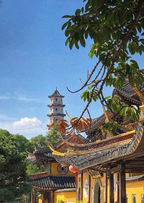 浙江省温州市有什么区,浙江省温州市介绍