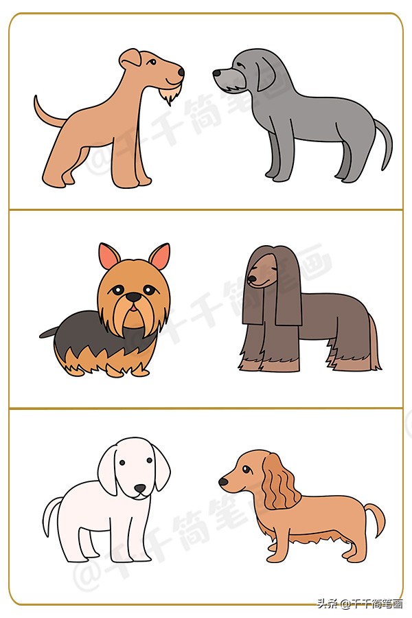 狗狗简笔画+合集，柯基，二哈，斗牛，秋田，泰迪，超详细