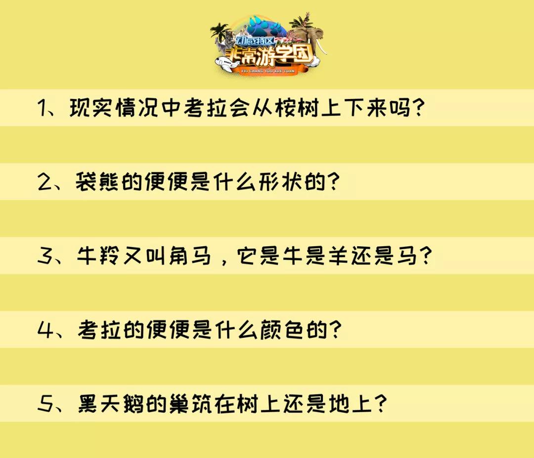 大熊猫相关知识,大熊猫百科知识详细介绍
