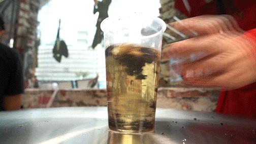 济南芝士厚乳茶,三里屯芝士厚乳茶