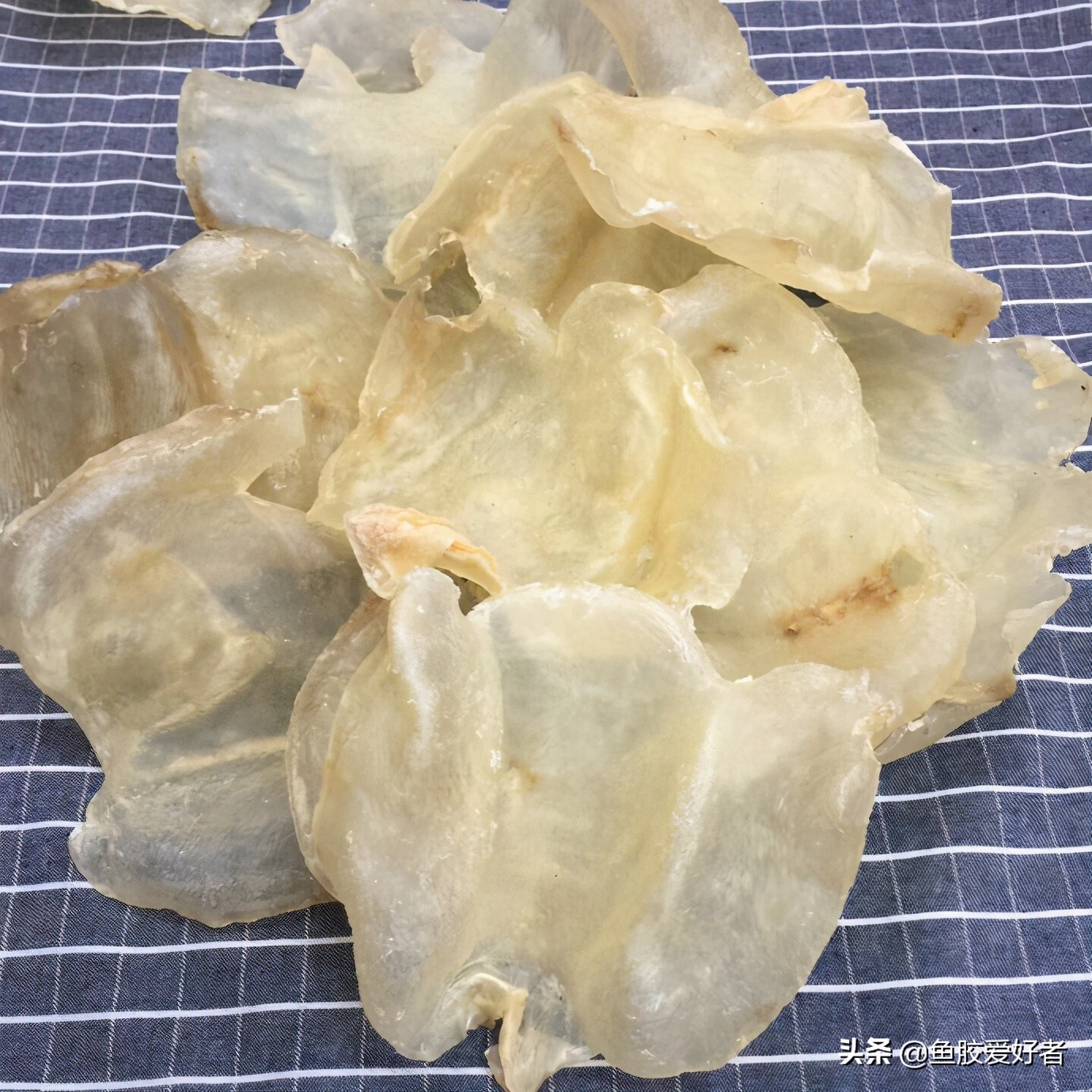 鱼胶正确的泡发方法和做法,顺德鲮鱼鱼胶的做法视频