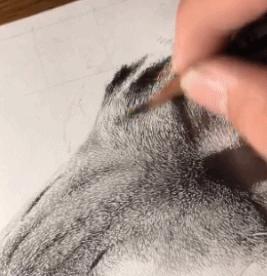 失明女孩铅笔画,保护视力守护心灵素描画