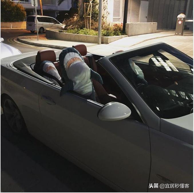 宜家小鲨鱼,为什么宜家鲨鱼火了