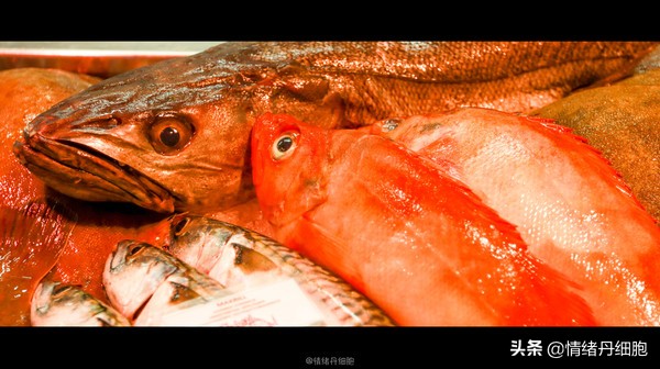 可以去玩一整天的地方,能玩一两天的地方