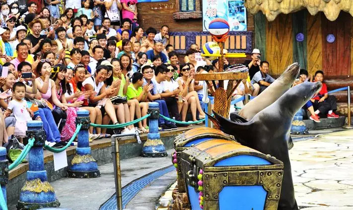 发现海洋魅力的海昌——中国主要景区运营商连锁运营产品述评