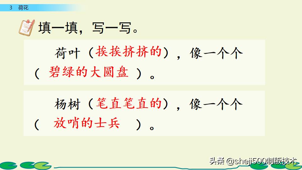 部编版三年级下册语文3荷花讲解,三年级下册部编语文荷花教学视频