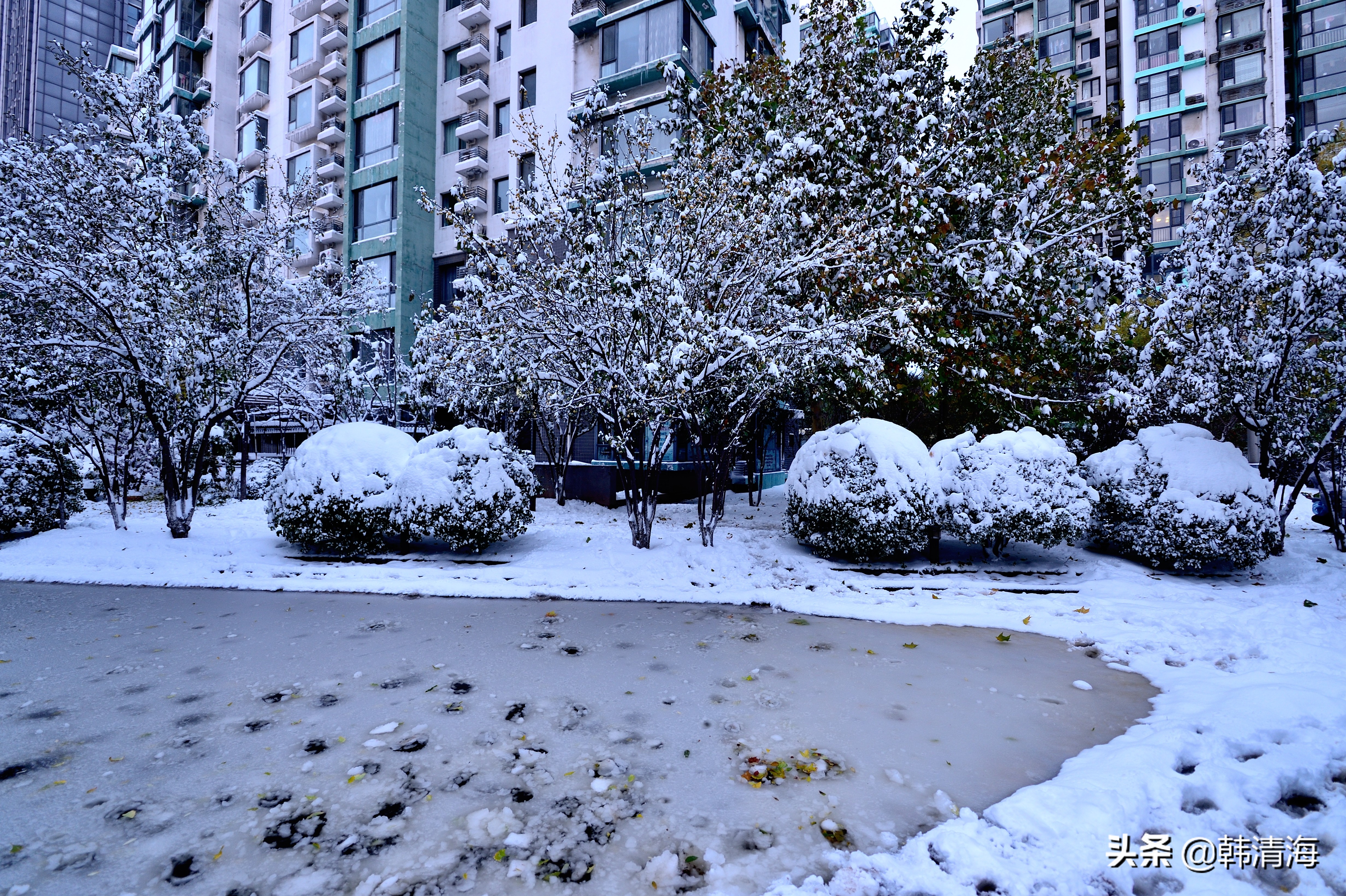 2021天津第一雪水畔花园小区装扮得更加圣洁和美丽