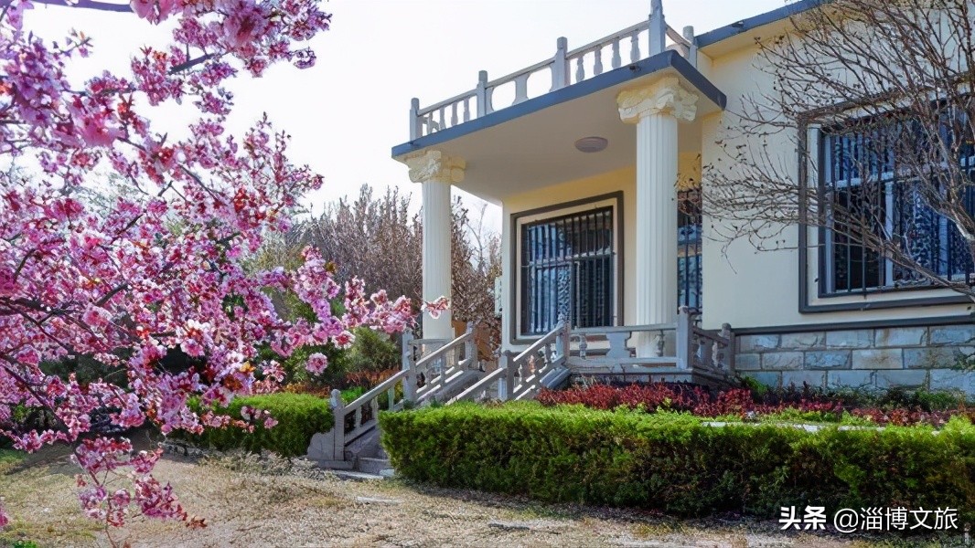 山东淄博田庄德禄民宿,淄博半山杏舍山居民宿