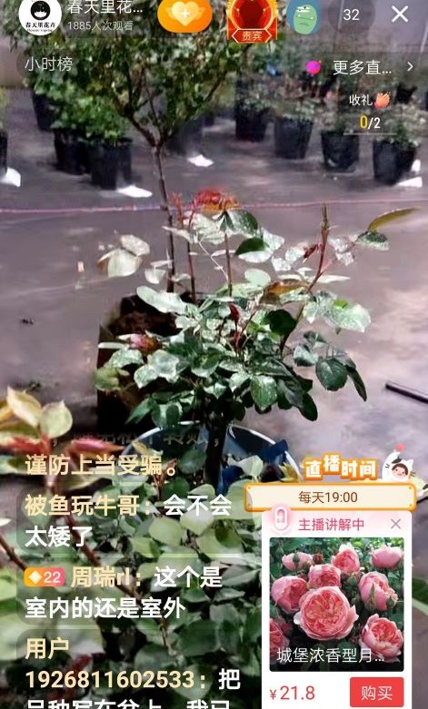 怎么办？怎么办？怎么办？入了直播的坑出不来了！