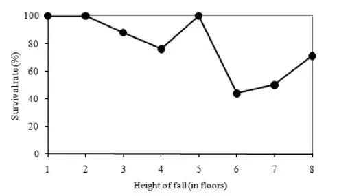 猫跳楼摔不死,猫咪跳楼真的摔不死吗